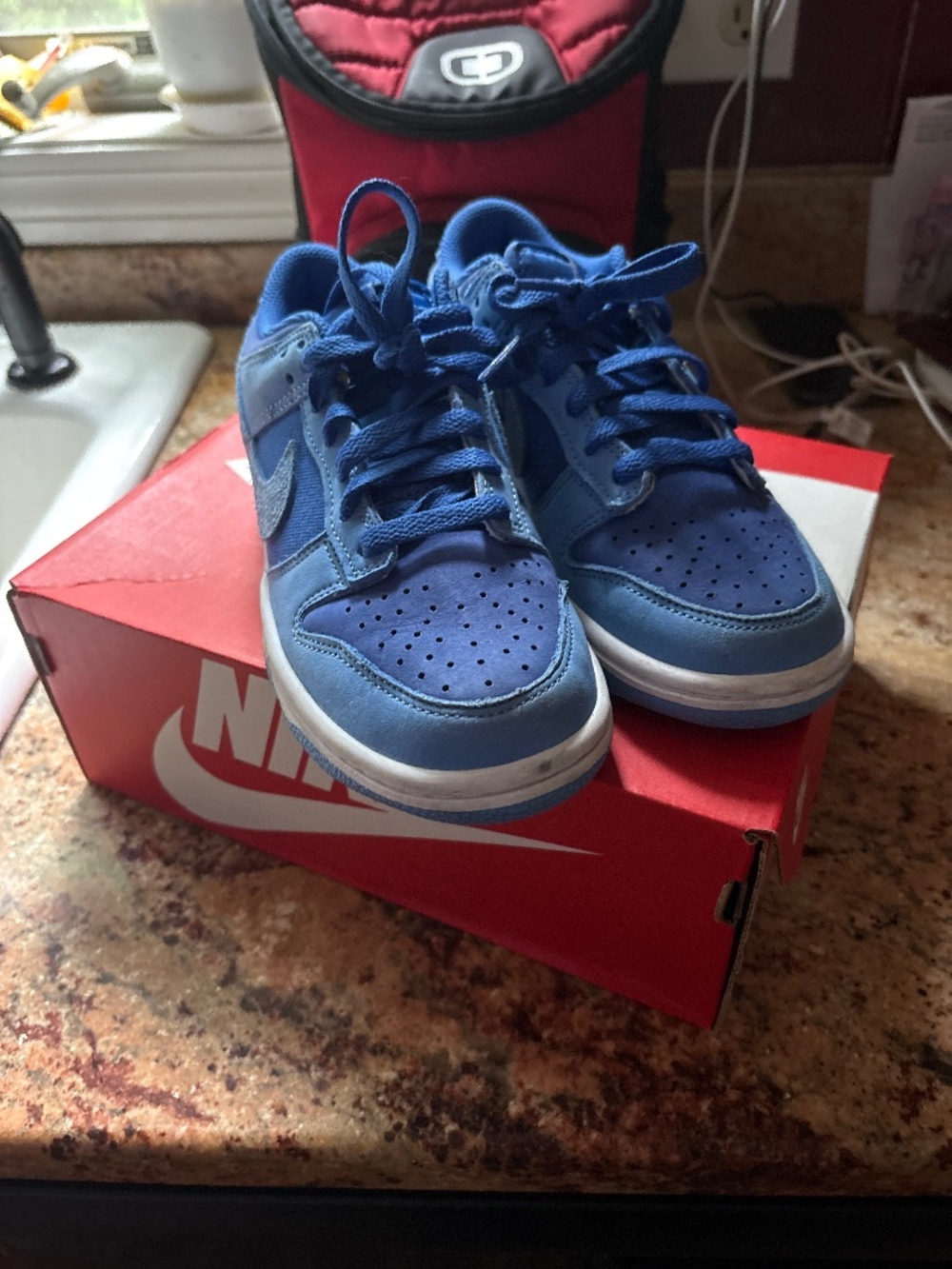 Nike Dunks Low SE